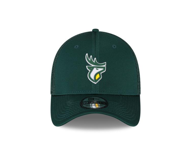 Edmonton Elks 3930 Green