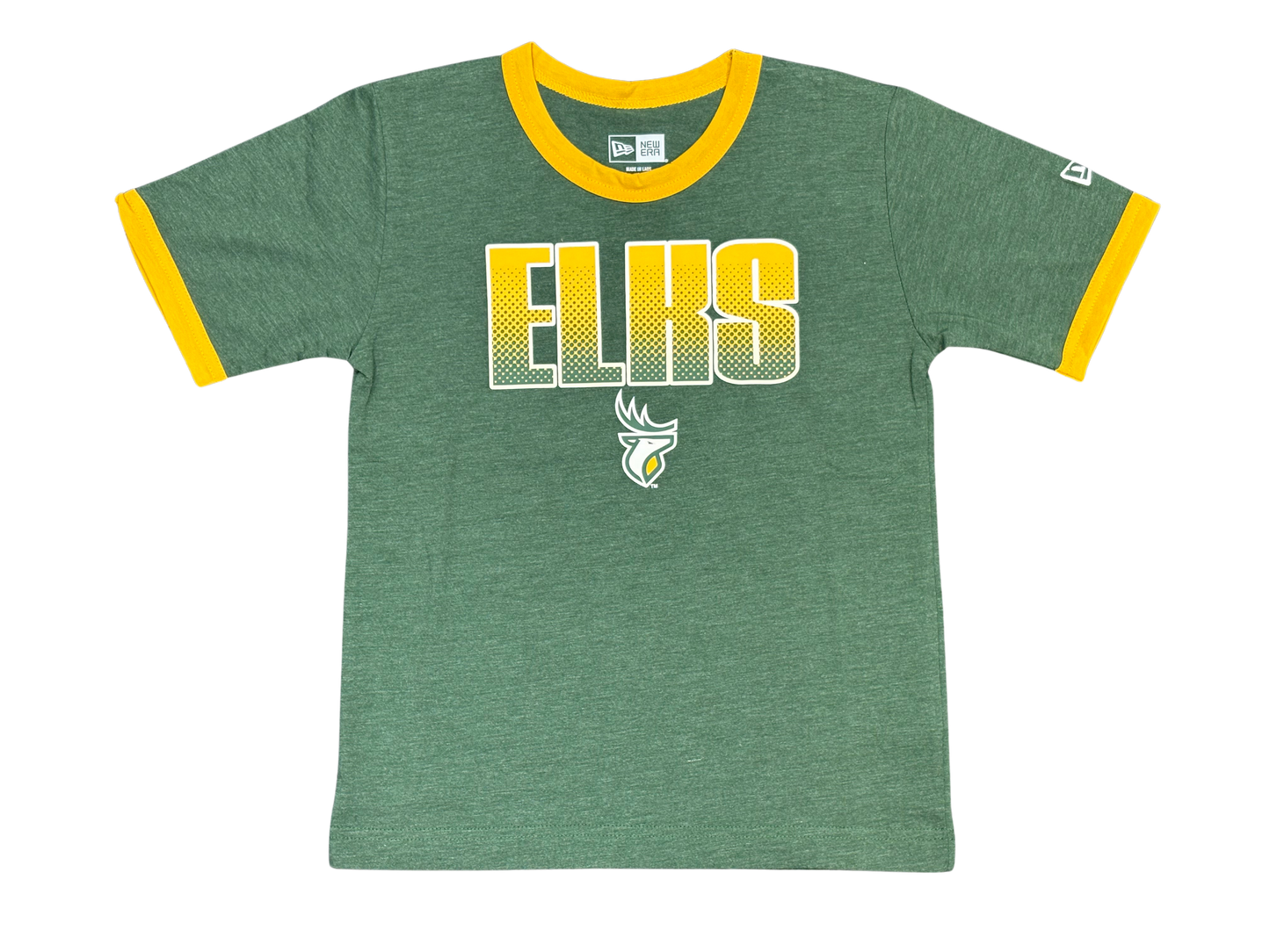 Edmonton Elks New Era Youth Gradient Wordmark Tee