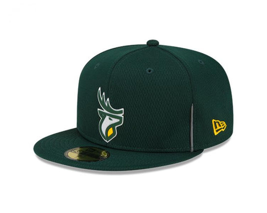 Edmonton Elks- New Era Sideline Official 59Fifty - GRN
