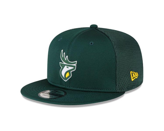 Edmonton Elks 950 Green