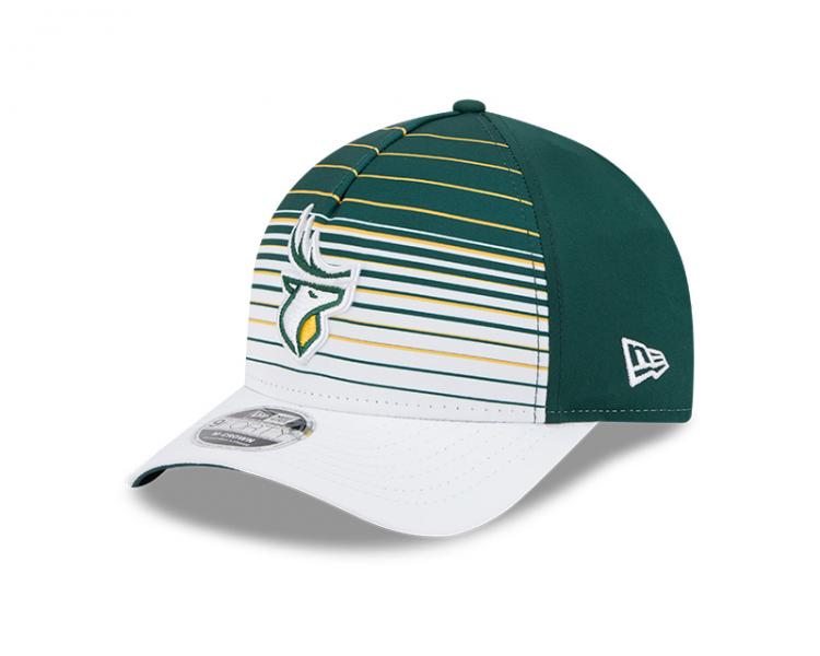 Edmonton Elks - New Era 940 Gradient