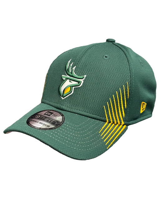 Edmonton Elks New Era 3930 Active