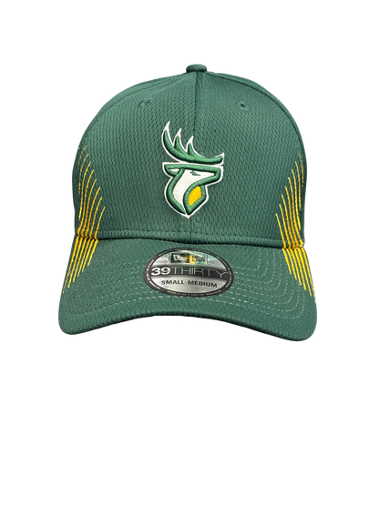 Edmonton Elks New Era 3930 Active