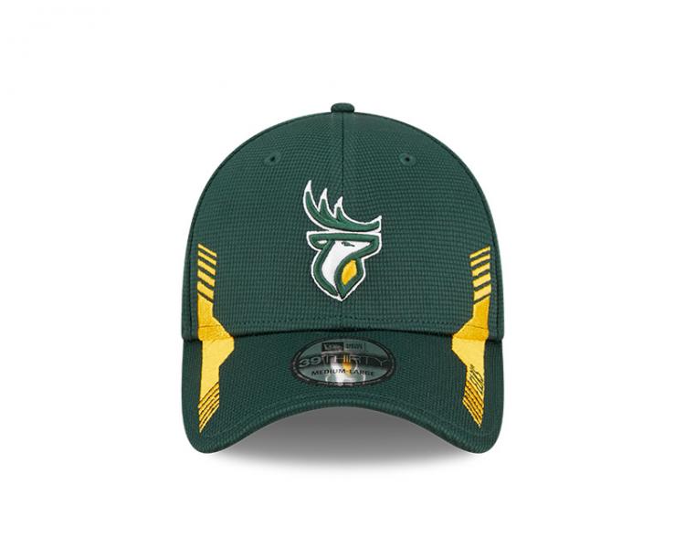 Edmonton Elks- New Era 3930 Team Vize