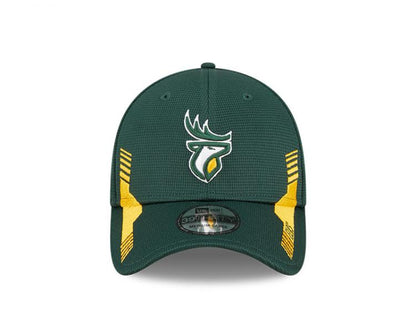 Edmonton Elks- New Era 3930 Team Vize