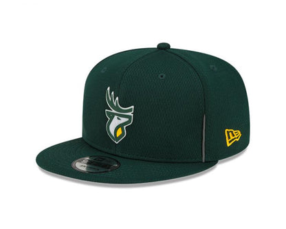 Edmonton Elks- CFL 950 Authentic Sideline - GRN