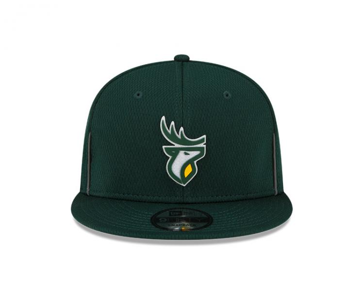 Edmonton Elks- CFL 950 Authentic Sideline - GRN