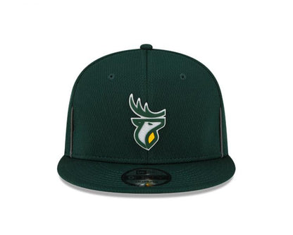 Edmonton Elks- CFL 950 Authentic Sideline - GRN