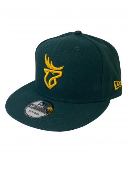 Edmonton Elks- 950 One Color Logo Snapback Cap - Green